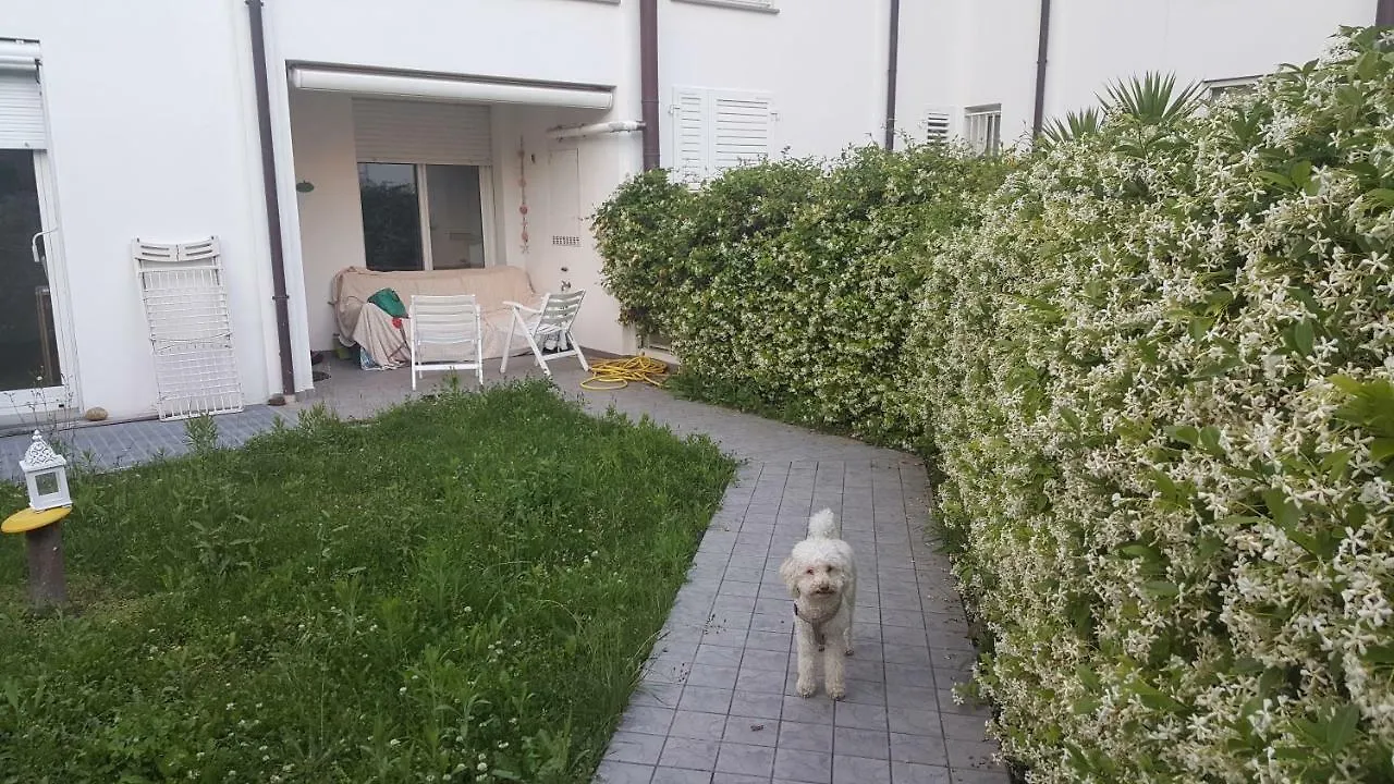 condominio vite Misano Adriatico